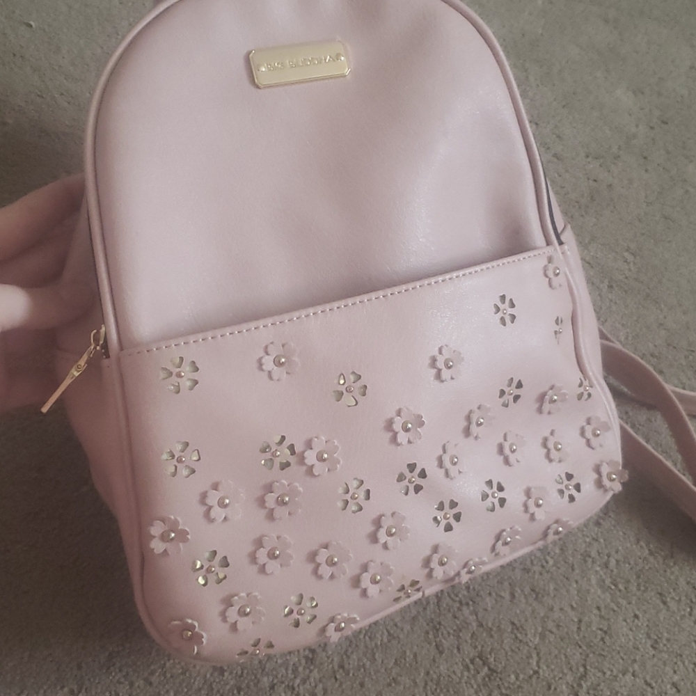 Back pack purse